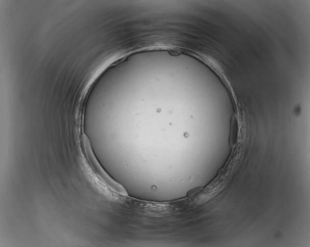 X0000115760859200911271115