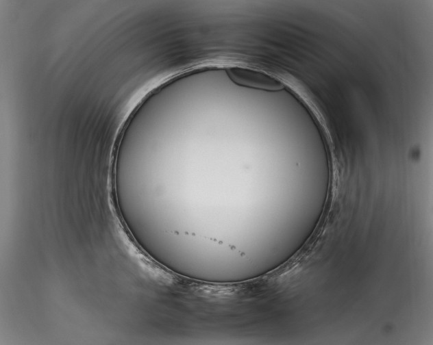 X0000115760861200911271115