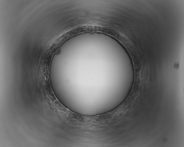 X0000115760870200911271114