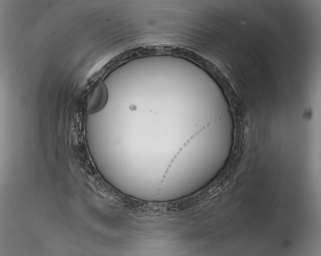 X0000115760871200911271114