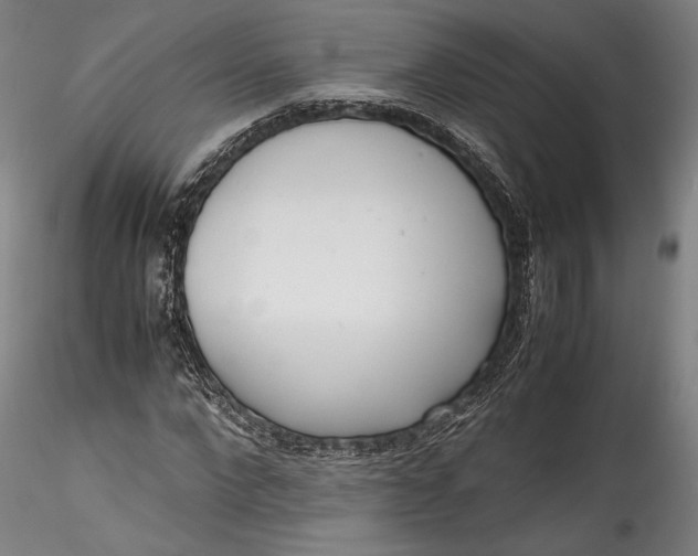 X0000115760872200911271114