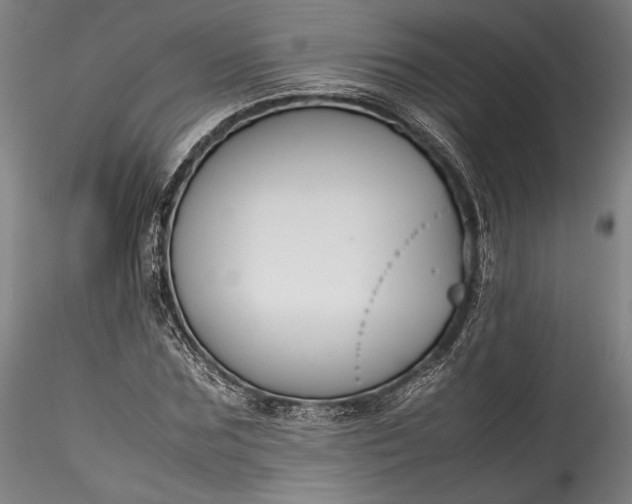 X0000115760875200911271114