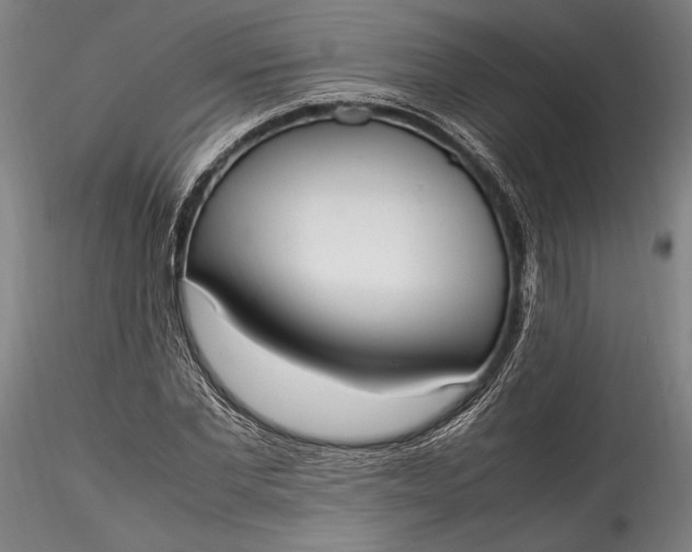 X0000115760877200911271114