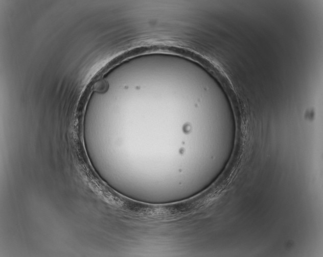 X0000115760879200911271114