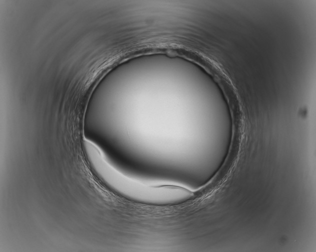 X0000115760881200911271114