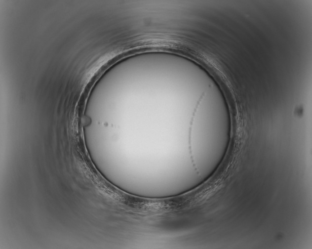 X0000115760883200911271114