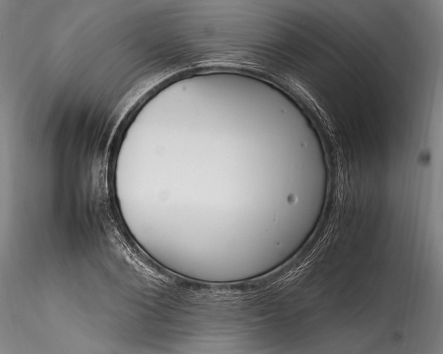 X0000115760884200911271114