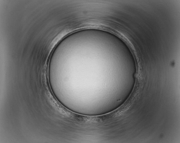 X0000115760899200911271114