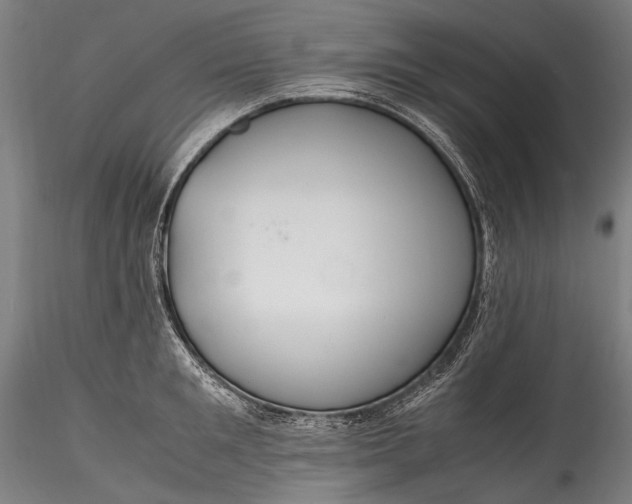 X0000115760901200911271114