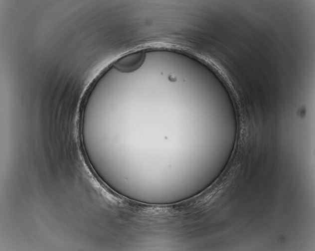 X0000115760902200911271114