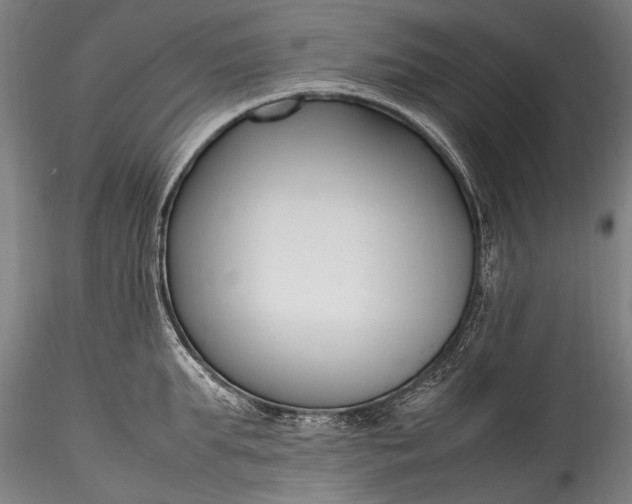 X0000115760903200911271114