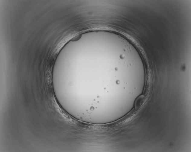 X0000115760905200911271114