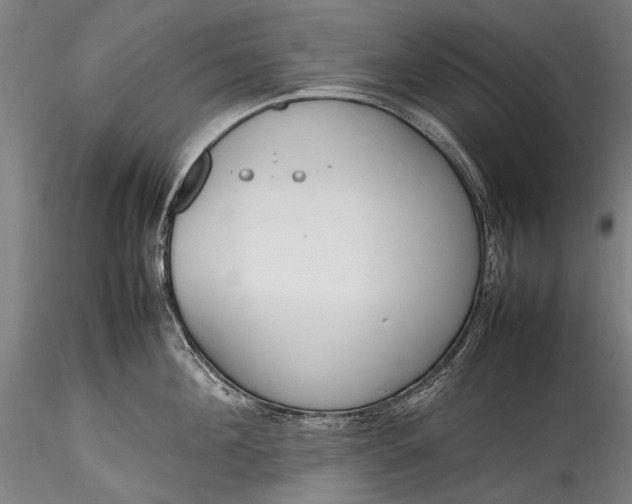 X0000115760908200911271114