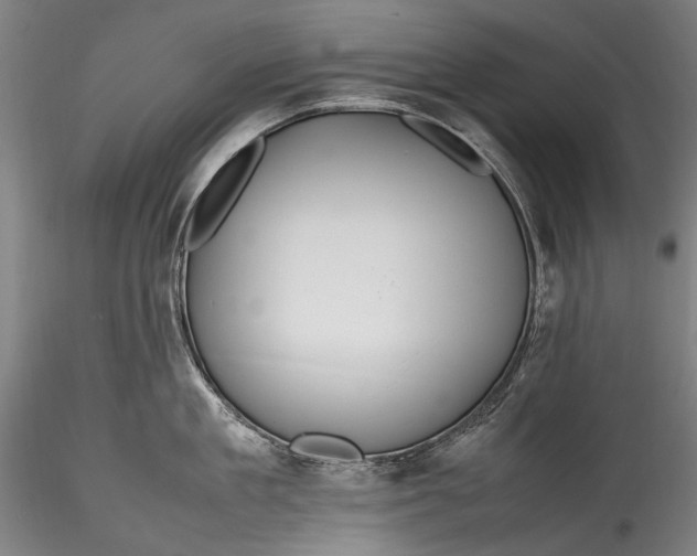 X0000115760909200911271114