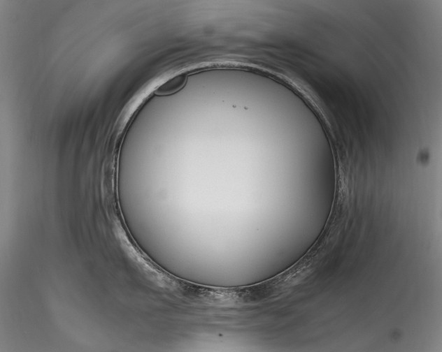 X0000115760911200911271114