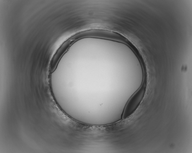 X0000115760912200911271114