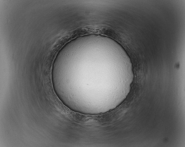 X0000115760913200911271113