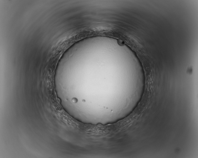 X0000115760917200911271113