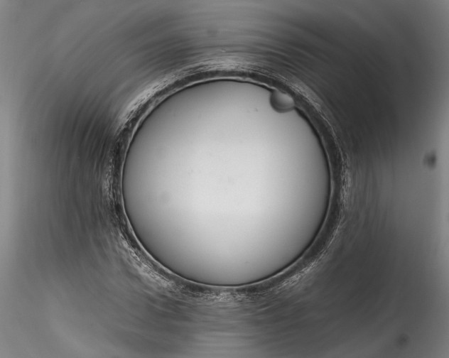 X0000115760922200911271113