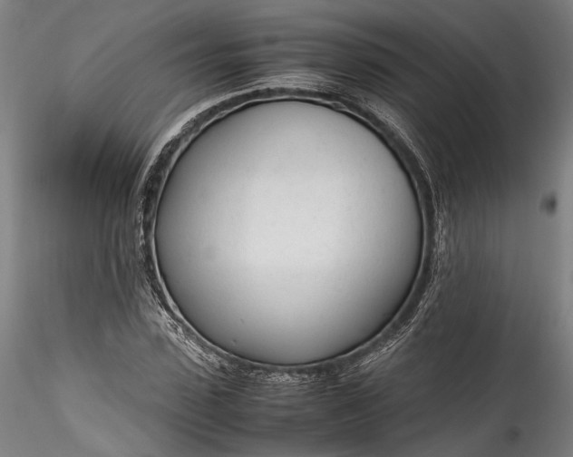 X0000115760923200911271113