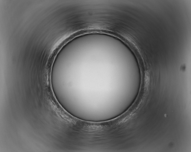 X0000115760925200911271113