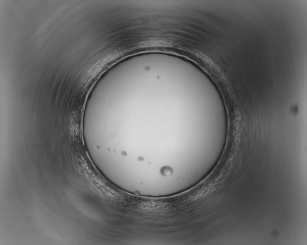 X0000115760929200911271113