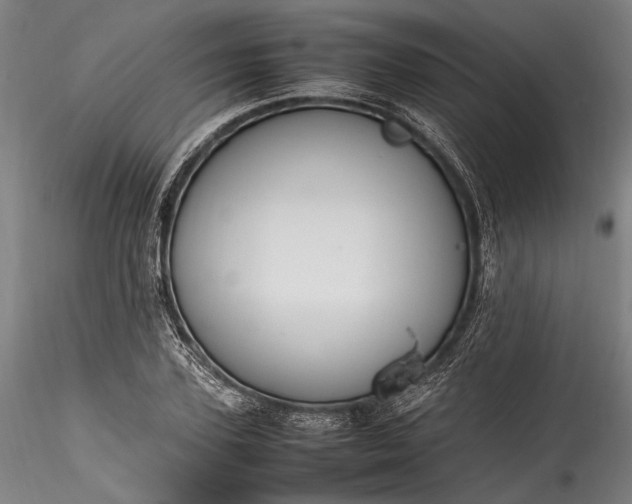 X0000115760931200911271113