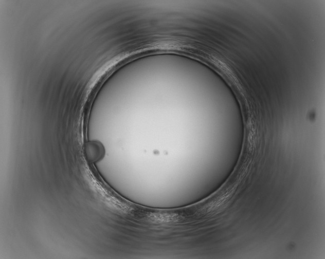 X0000115760939200911271113