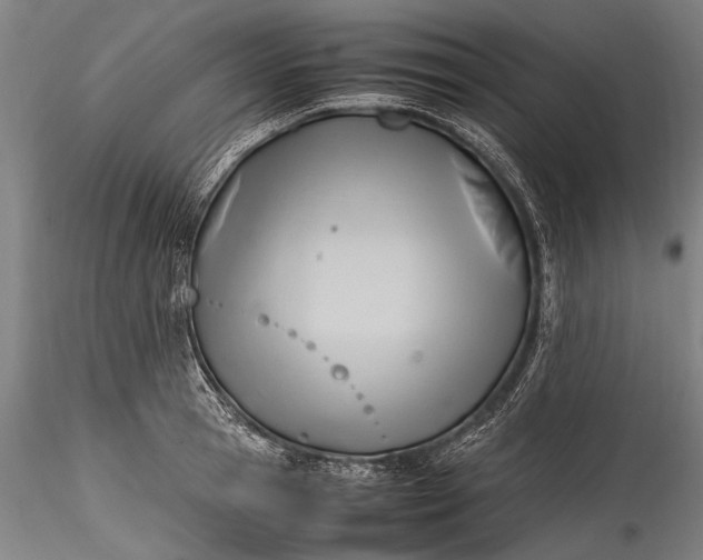 X0000115760945200911271113