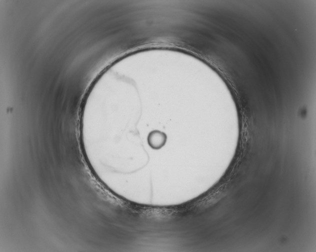 X0000115760950200911271114