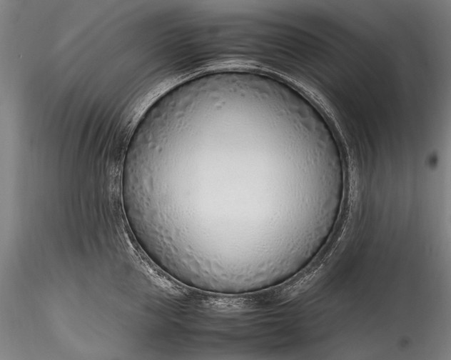 X0000115760953200911271114