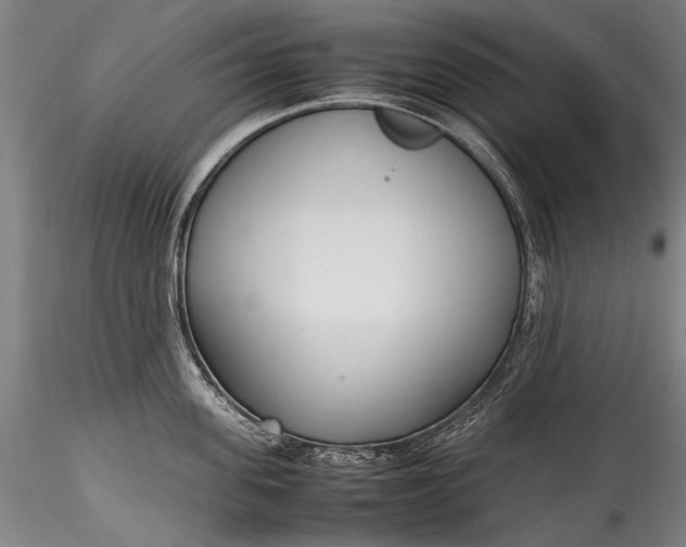 X0000115760955200911271114