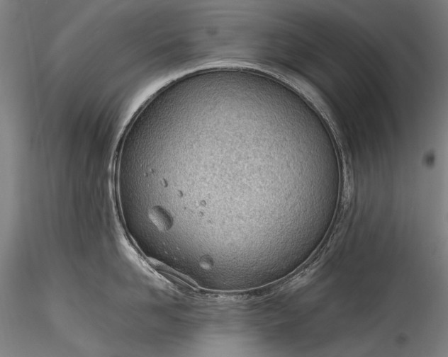 X0000115760958200911271114