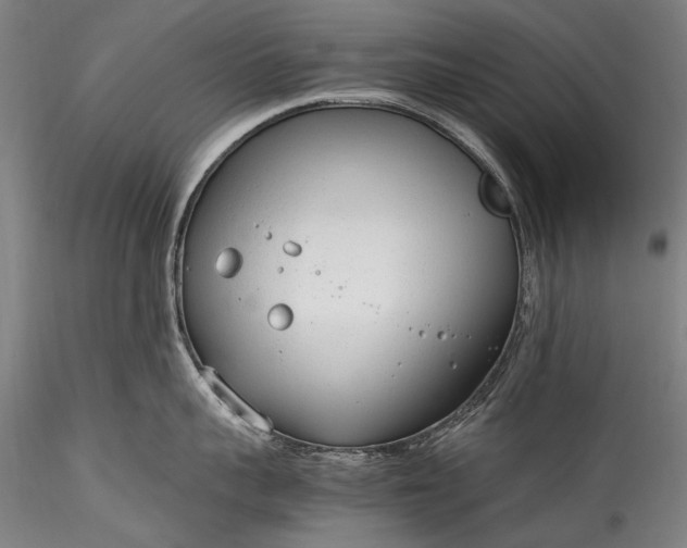 X0000115760959200911271114