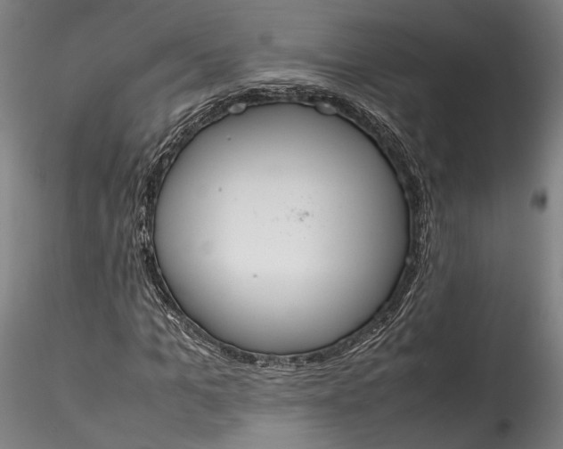 X0000115760965200911271113