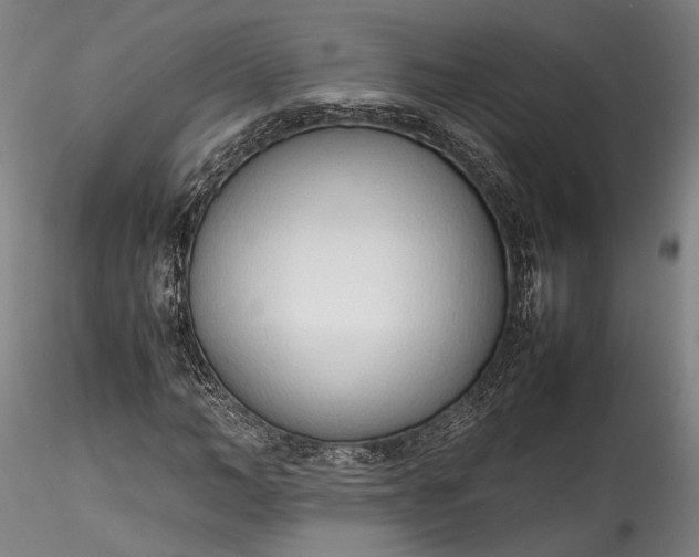 X0000115760966200911271113