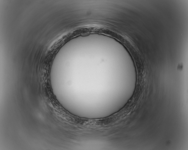 X0000115760967200911271113