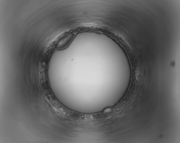 X0000115760968200911271113