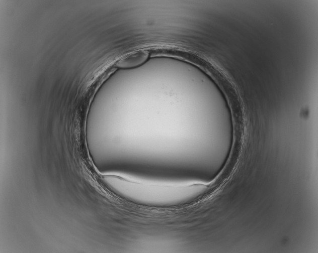 X0000115760969200911271113