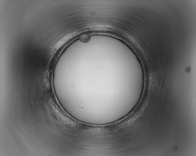 X0000115760970200911271113