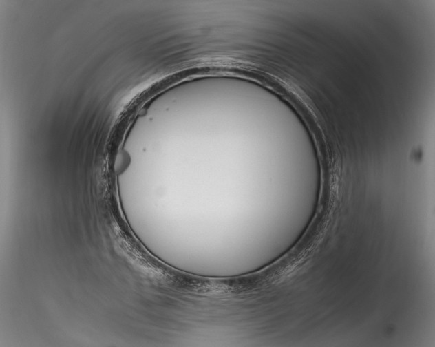 X0000115760971200911271113