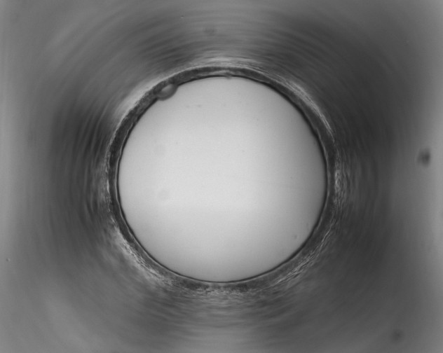 X0000115760972200911271113