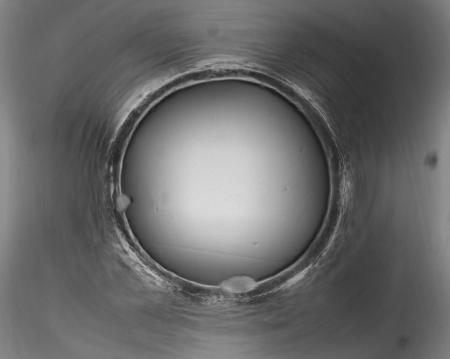 X0000115760973200911271113