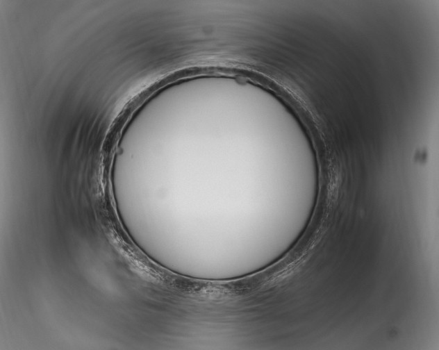 X0000115760974200911271113