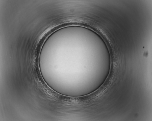 X0000115760975200911271113