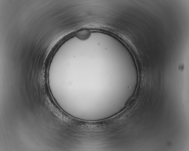 X0000115760976200911271113