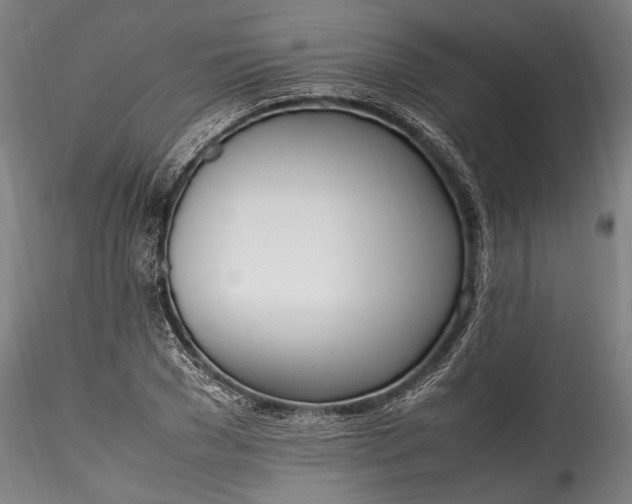 X0000115760977200911271113