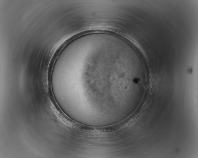 X0000115760980200911271113