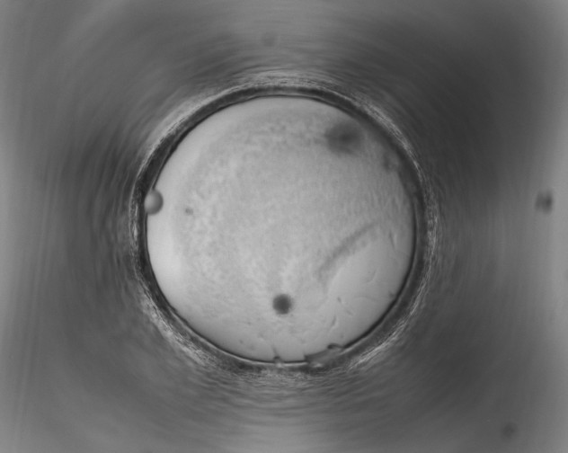 X0000115760981200911271113