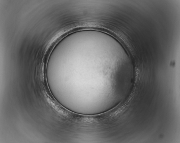 X0000115760982200911271113